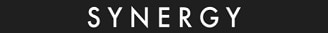 Synergy Motors logo