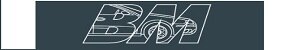Bognor Motors Vehicle Solutions