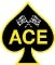 Ace Motors